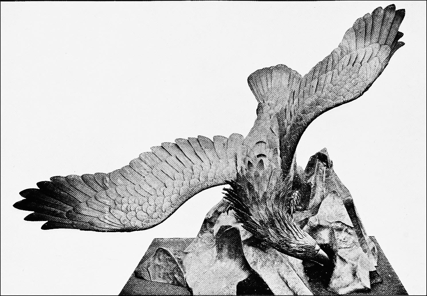 The Miochin Eagle