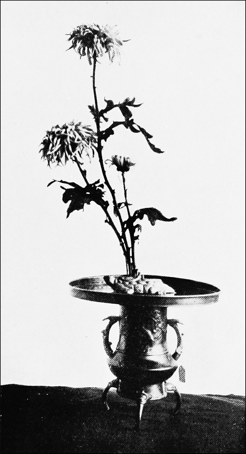A Flower Composition
