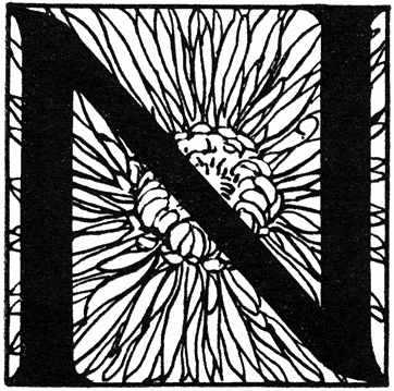 N
