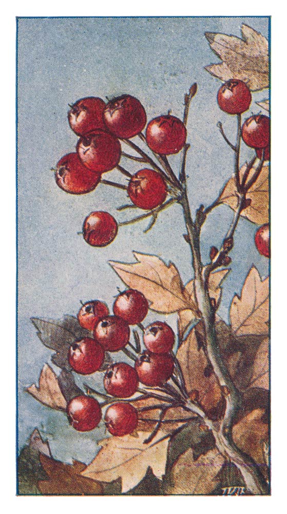 58