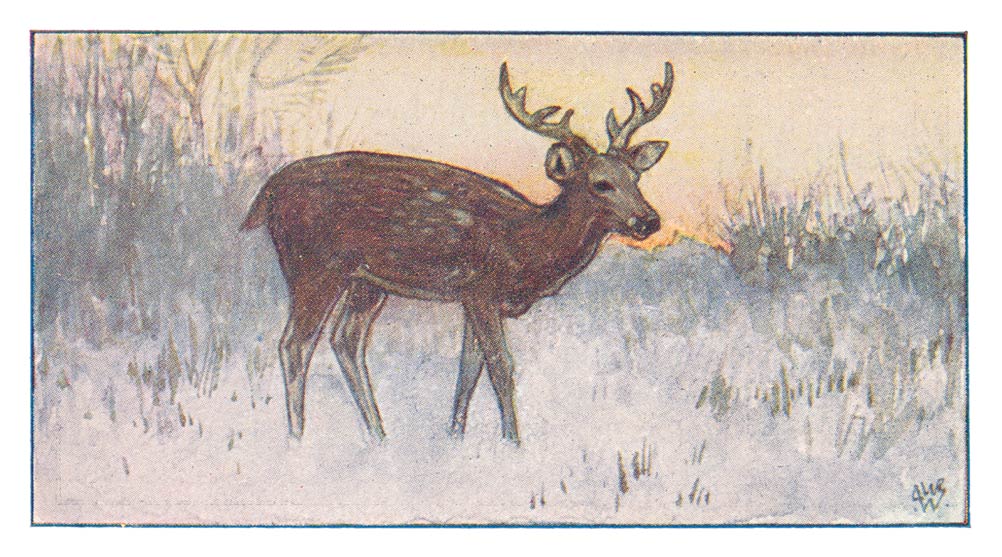 79