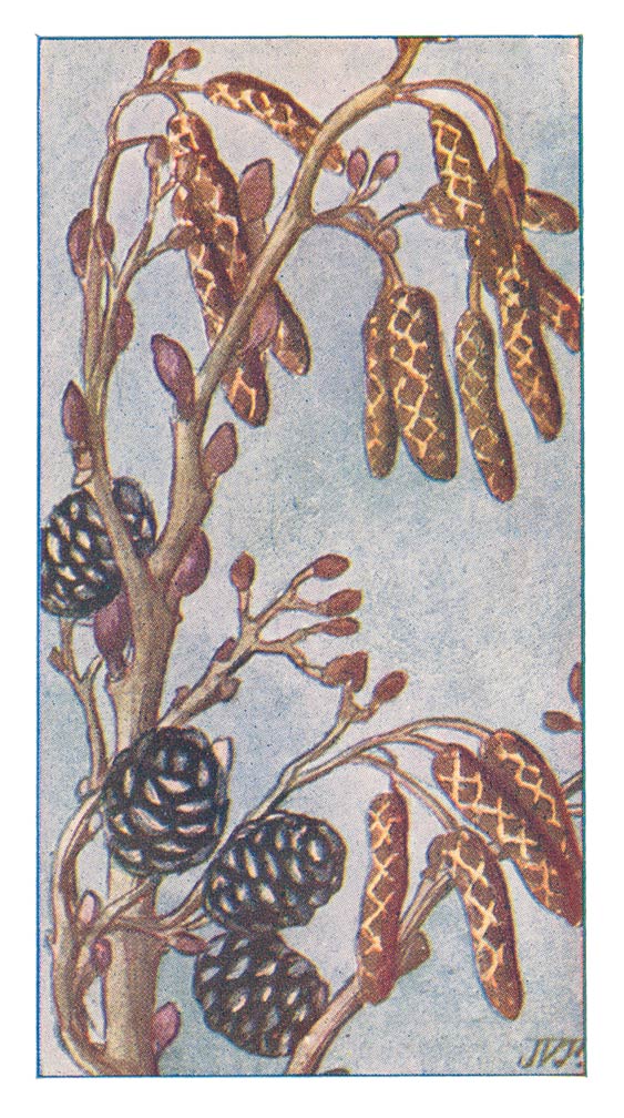 102