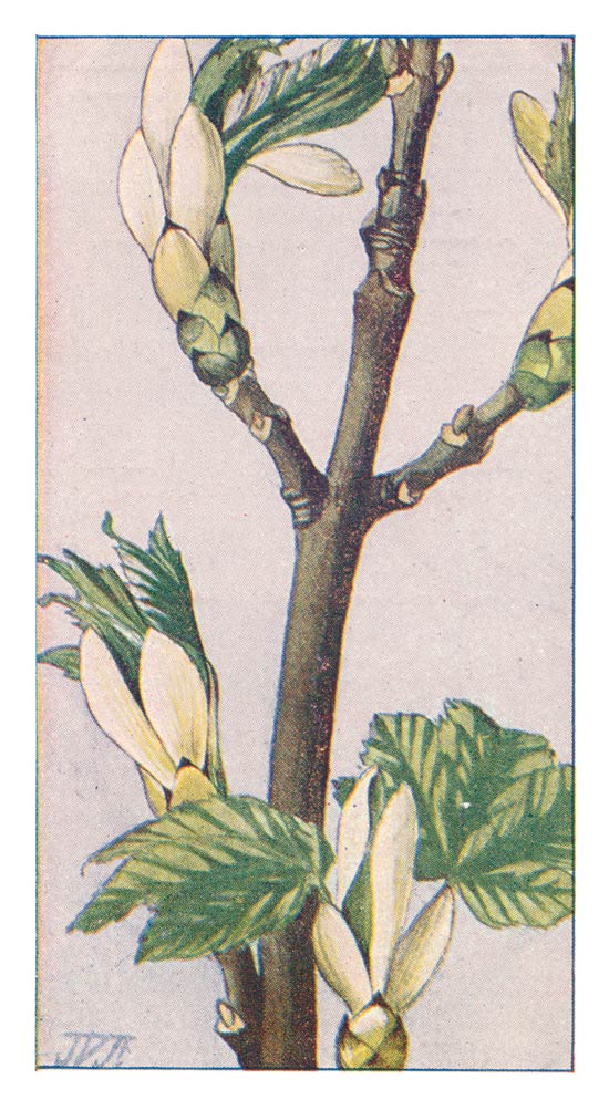 128