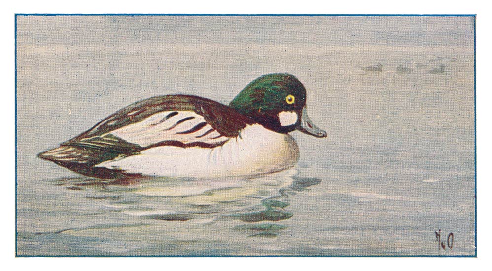 135