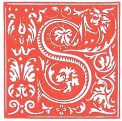 Stylized S