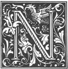 Stylized N