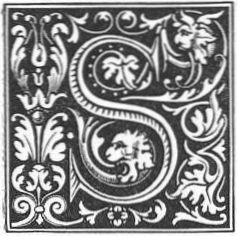 Stylized S