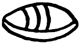 symbol