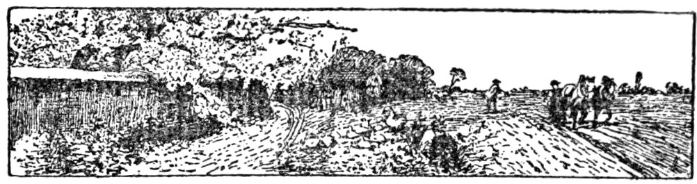 '[Fleuron]’