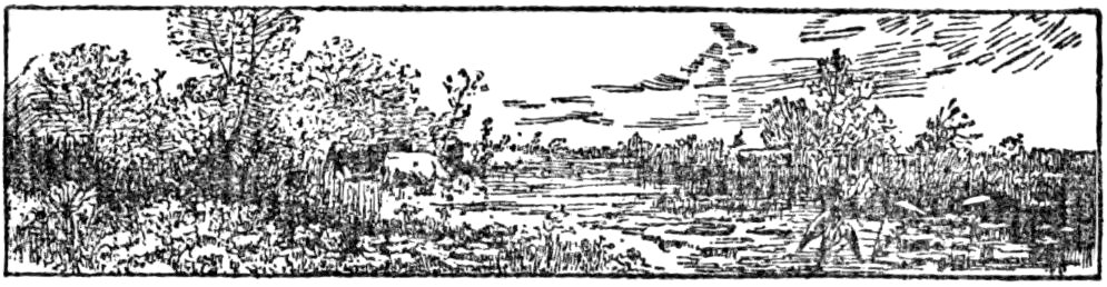 '[Fleuron]’