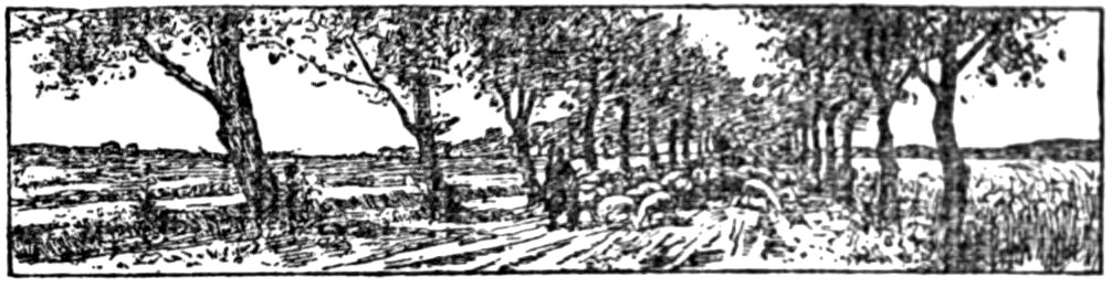 '[Fleuron]’