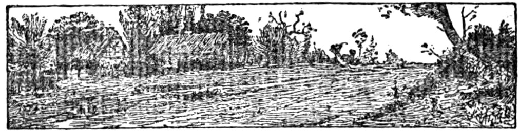 '[Fleuron]’