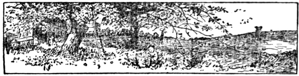 '[Fleuron]’