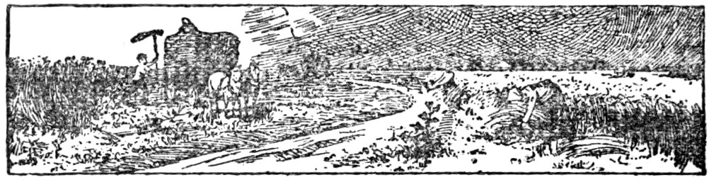 '[Fleuron]’