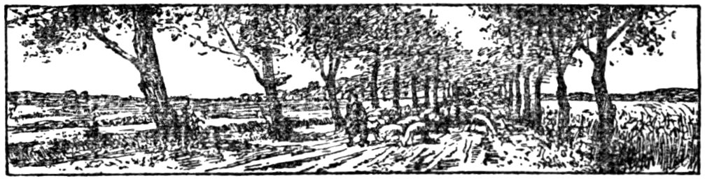 '[Fleuron]’