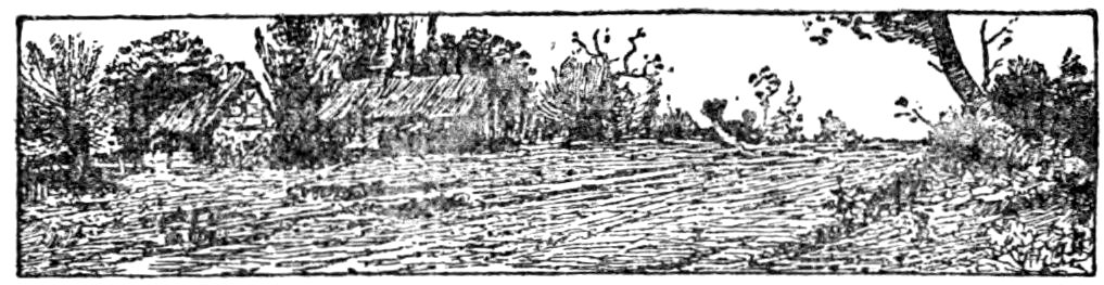 '[Fleuron]’