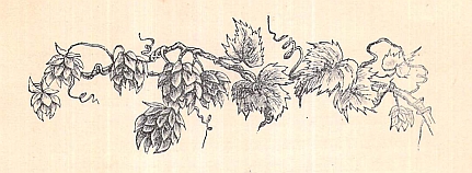 Chapter I headpiece