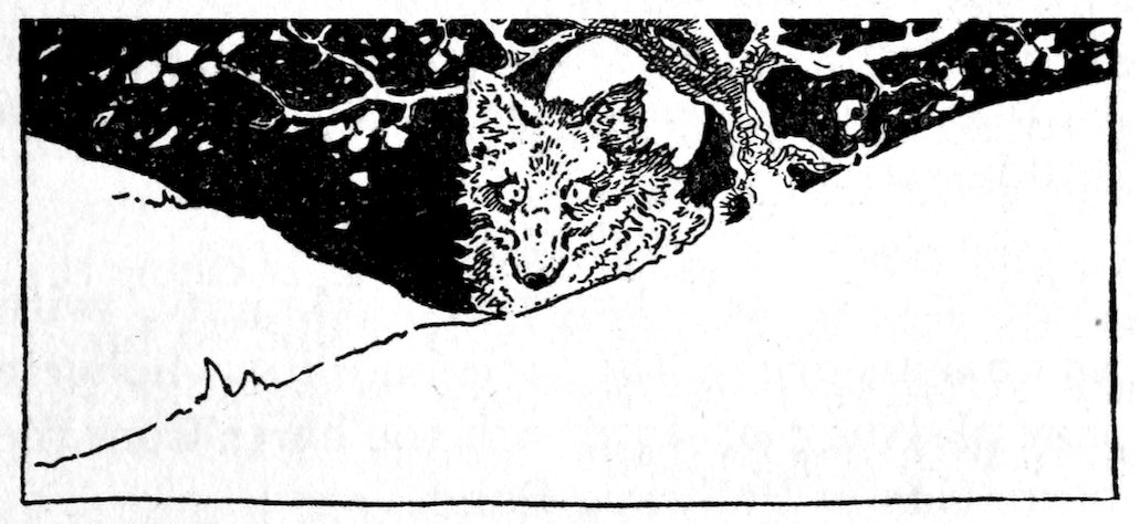[Fox]
