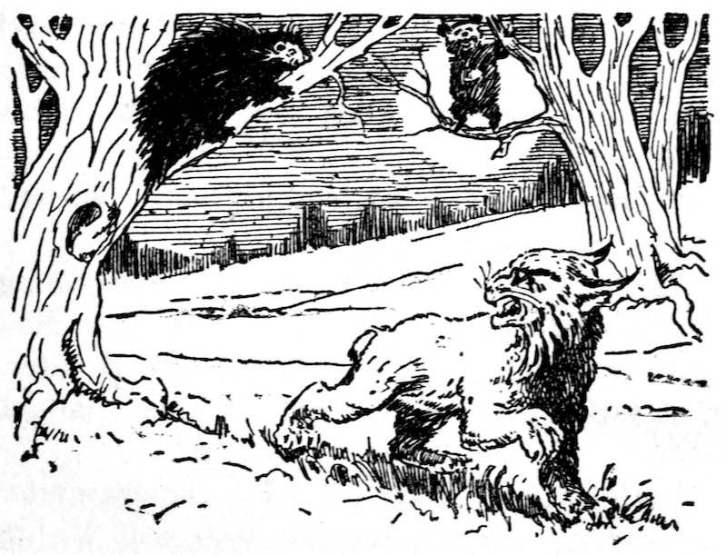 [Lynx]