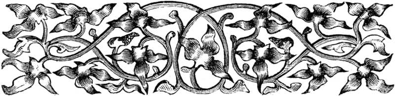 Viñeta ornamental