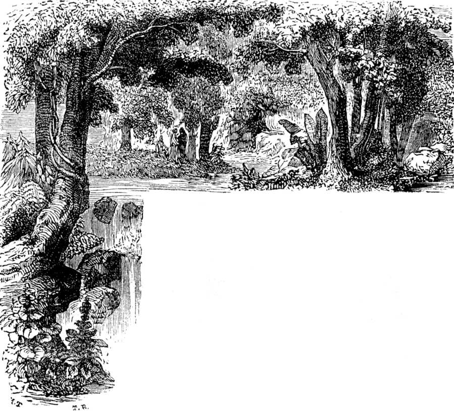 Cabecera ilustrada
