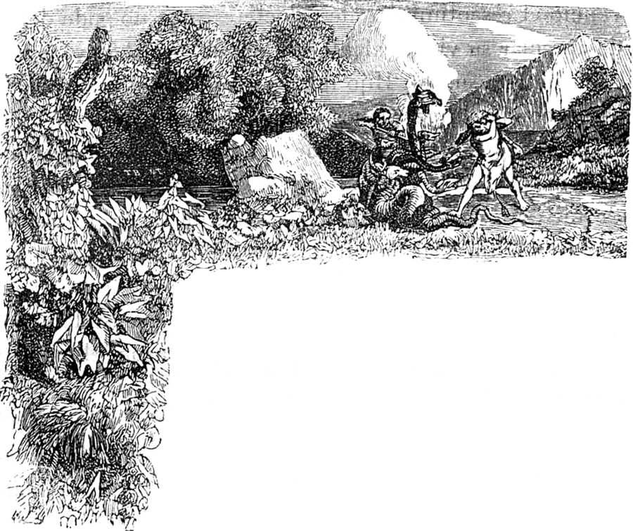 Cabecera ilustrada