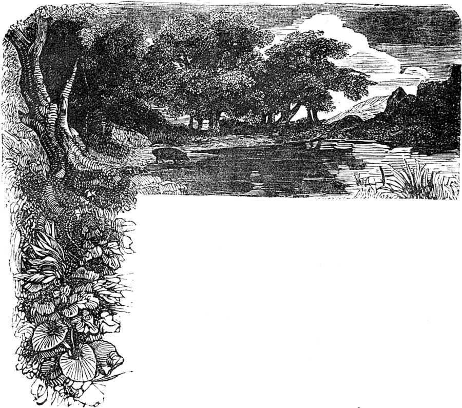 Cabecera ilustrada
