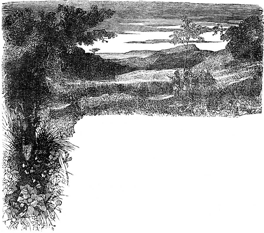 Cabecera ilustrada