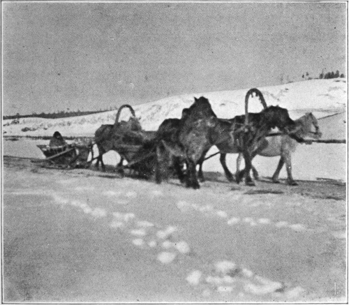 sledging