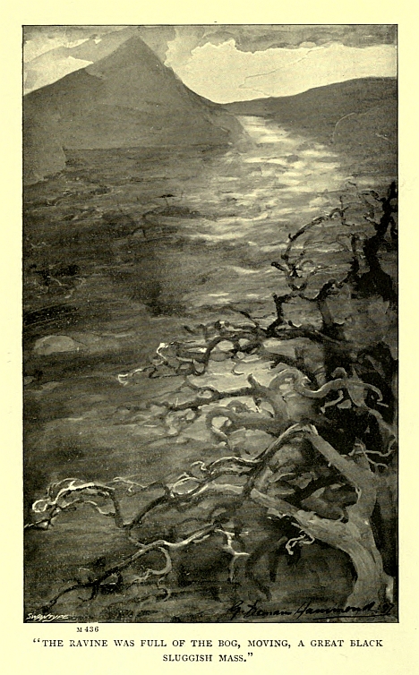 "THE RAVINE WAS FULL OF THE BOG, MOVING, A GREAT BLACK SLUGGISH MASS."