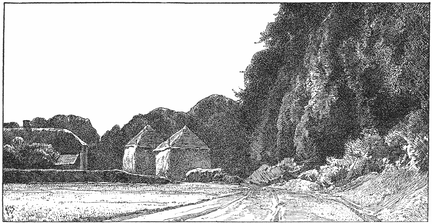 Boschrand bij Ede.