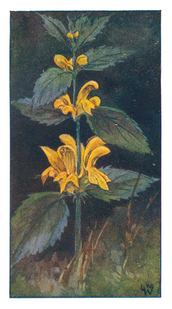 48