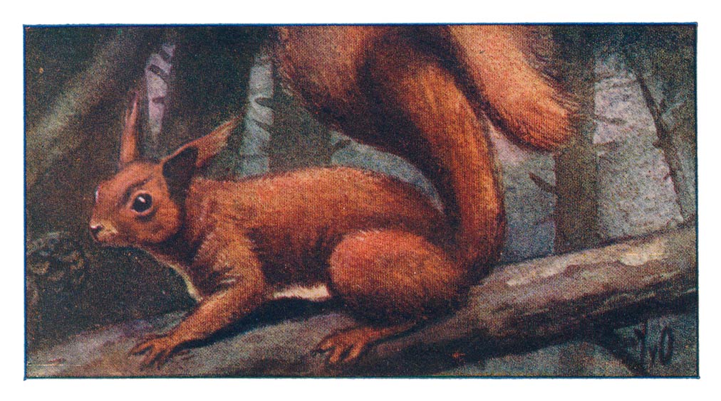 62