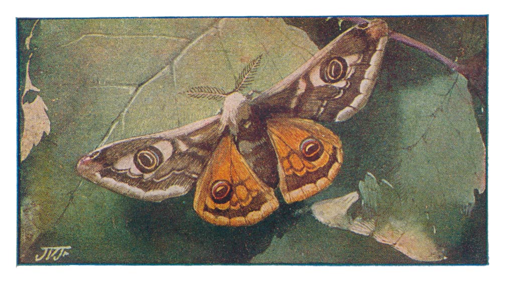 70