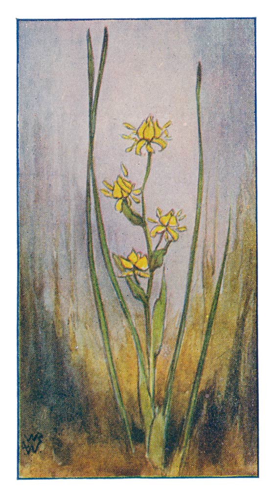 73