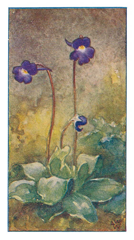 77