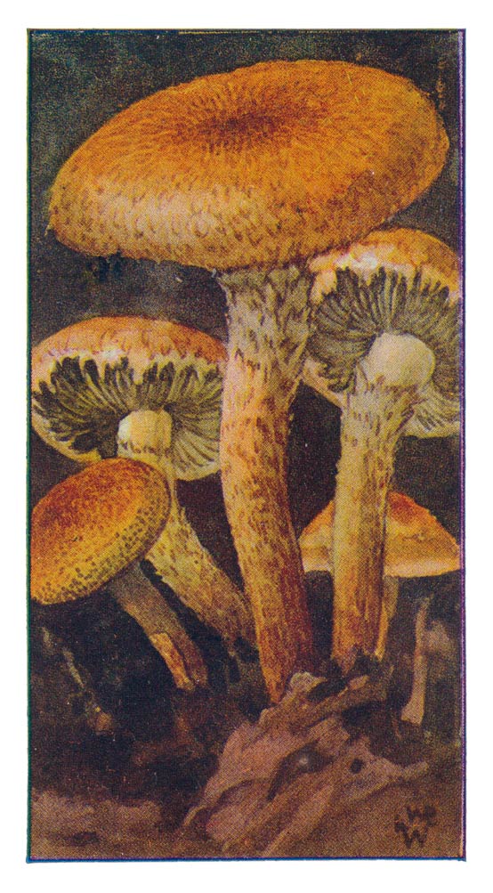 85