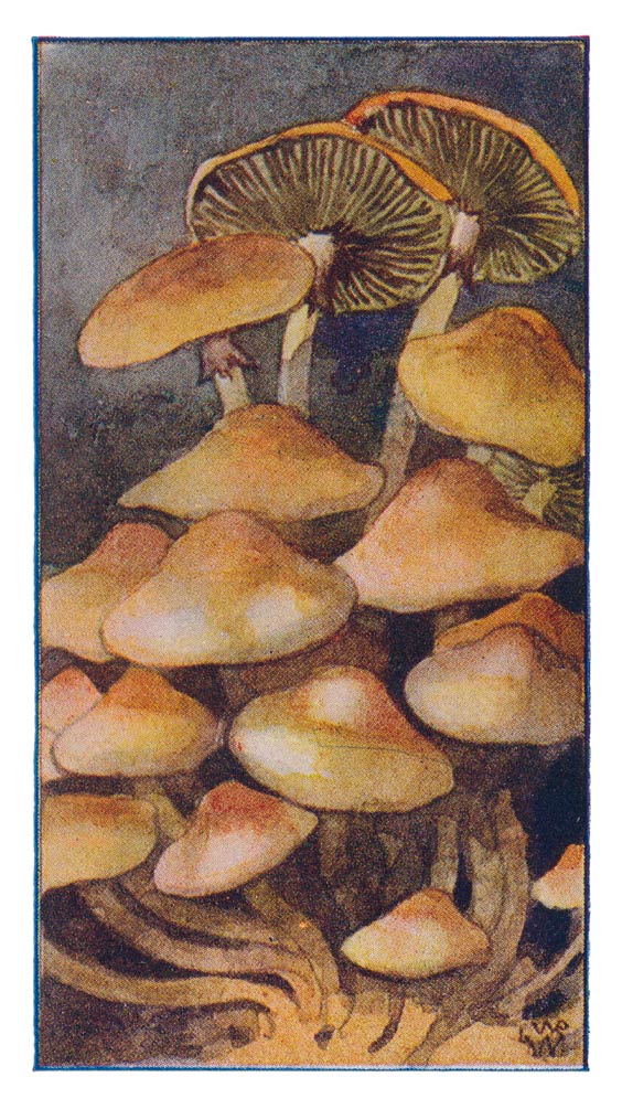 87
