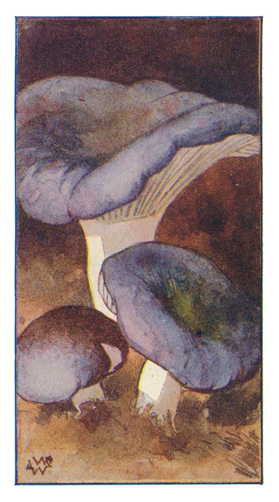 88