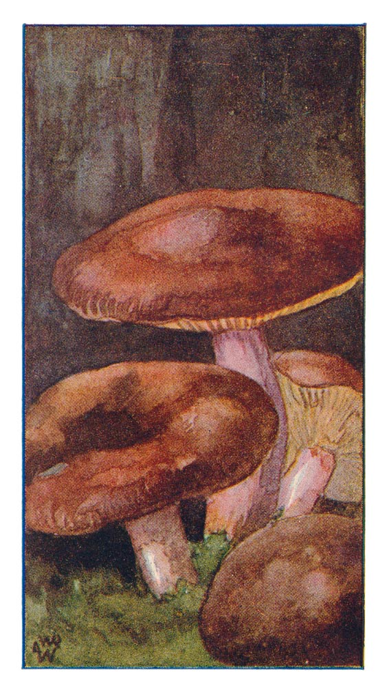 90
