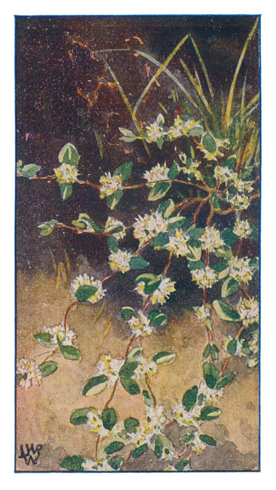 94