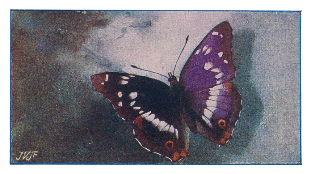 98