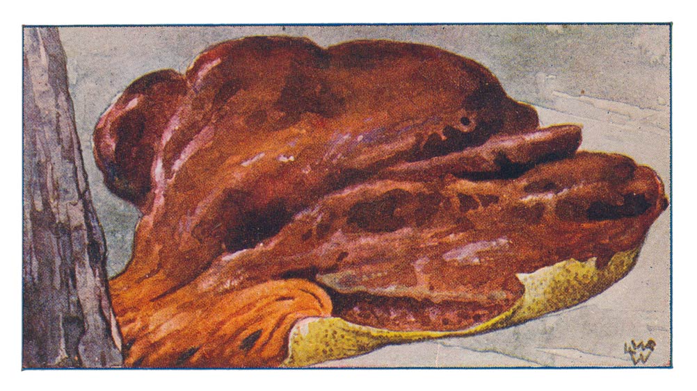 113
