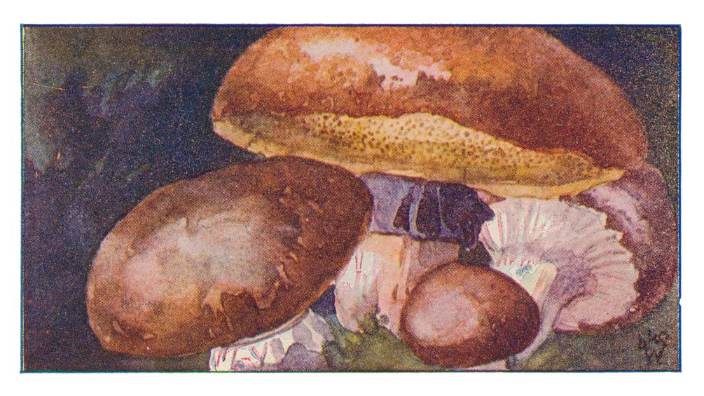 114