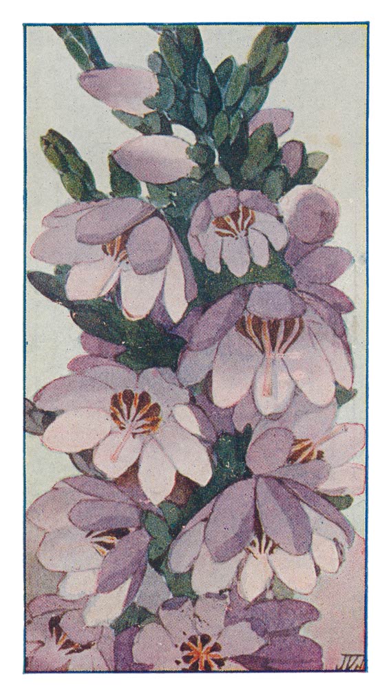 131