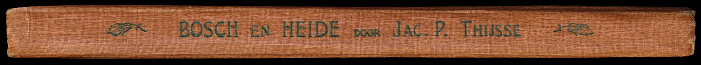 Oorspronkelijke rug.