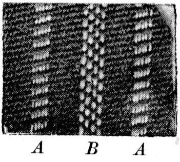 Corkscrew weave