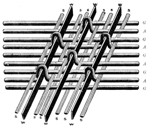 Warp-pile structure
