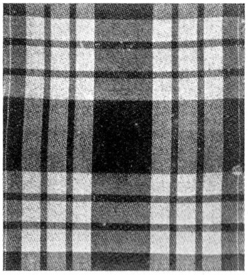 Montgomery