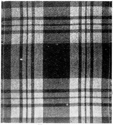Montgomery modification